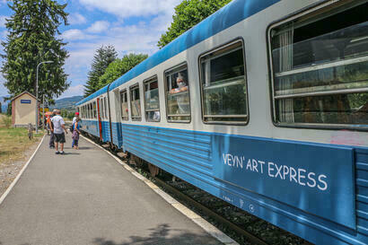 Le Veyn'Art Le Veyn'Art